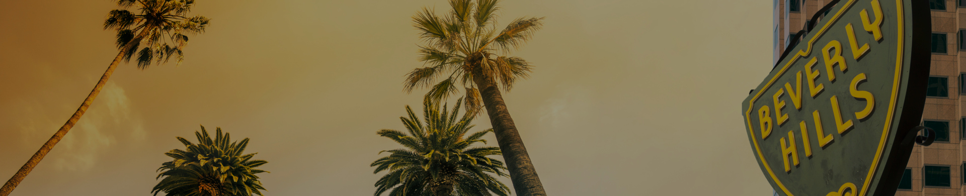 Beverly Hills Family Law Office