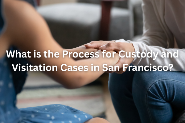 What is the Process for Custody and Visitation Cases in San Francisco?